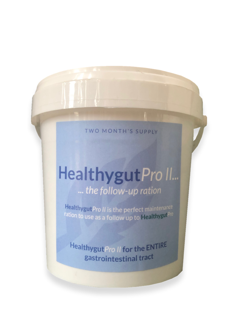 HealthyGut Pro II