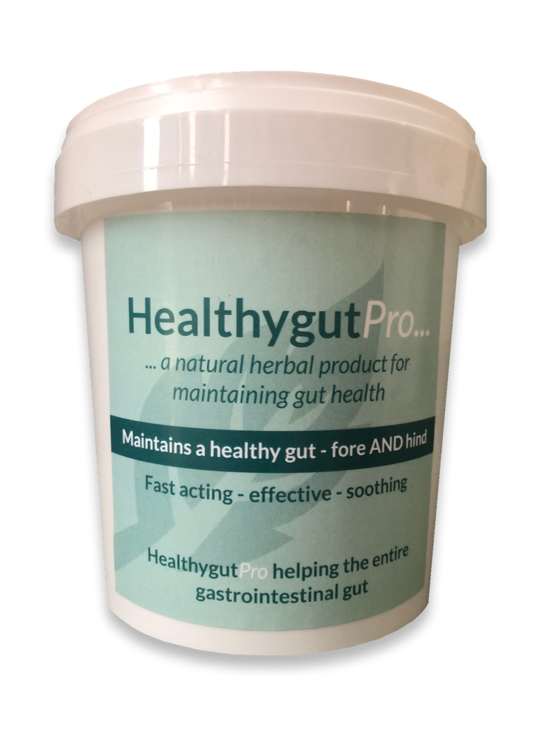 HealthyGut Pro