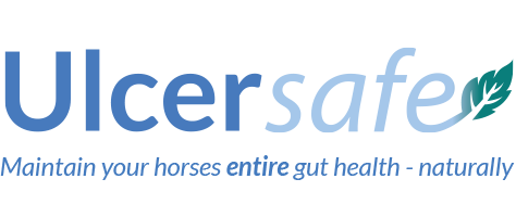 UlcerSafe